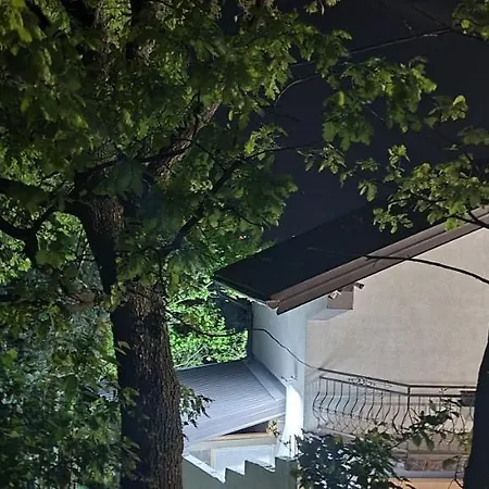 Elma Sarajevo